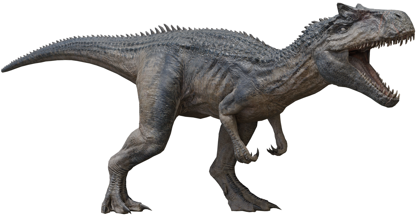 Allosaurus 15 (BABR Design) Blank Meme Template
