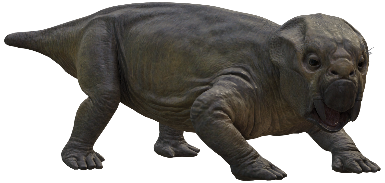 Lystrosaurus 5 Blank Meme Template