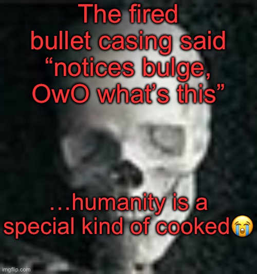 Kirk was killed by a bullet engraved with a furry meme, we can’t be deadass XD | The fired bullet casing said “notices bulge, OwO what’s this”; …humanity is a special kind of cooked😭 | image tagged in skull | made w/ Imgflip meme maker