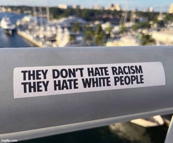 The more they show us who they are, the less I like them. | image tagged in racism is racism,liberalism,leftists,fake people | made w/ Imgflip meme maker