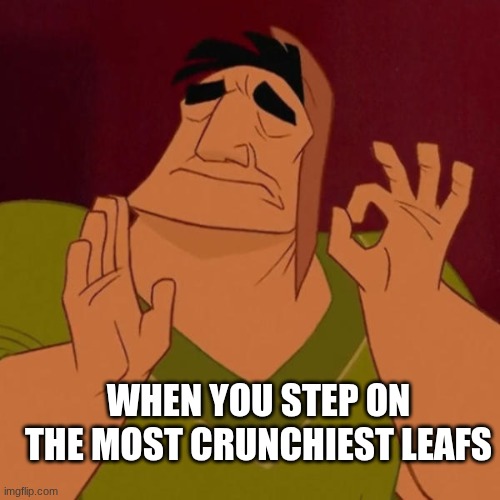 Its the simple things in life | WHEN YOU STEP ON THE MOST CRUNCHIEST LEAFS | image tagged in pacha perfect,funny memes,memes,nature | made w/ Imgflip meme maker