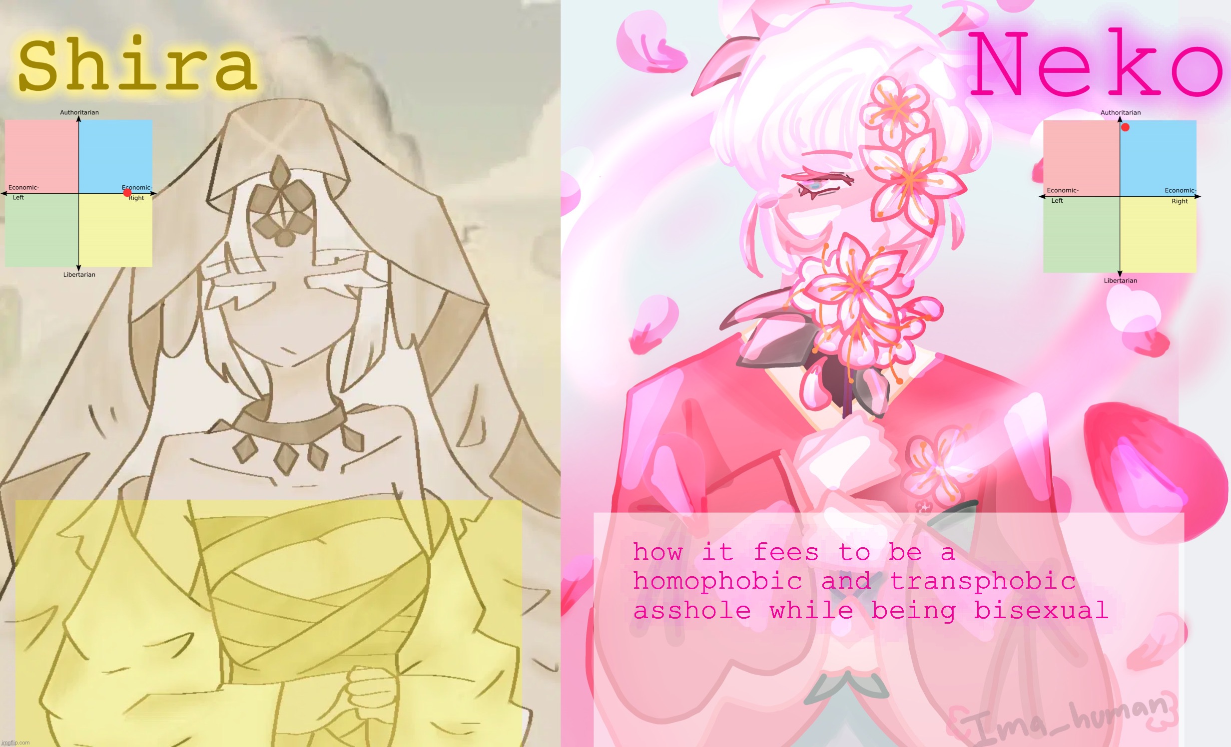 Neko and Shira shared temp | how it fees to be a homophobic and transphobic asshole while being bisexual | image tagged in neko and shira shared temp | made w/ Imgflip meme maker
