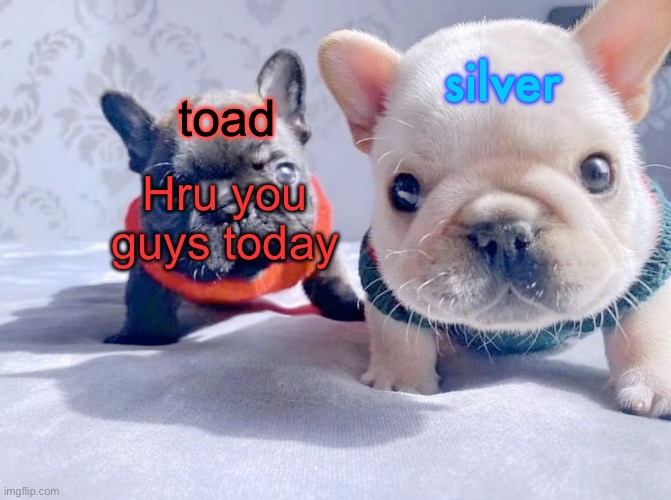 cewl temp no? | Hru you guys today | image tagged in silver and toad's announcement temp | made w/ Imgflip meme maker