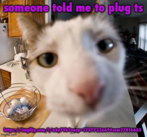 he | someone told me to plug ts; https://imgflip.com/i/a5y79b?nerp=1757723669#com37816655 | image tagged in he | made w/ Imgflip meme maker