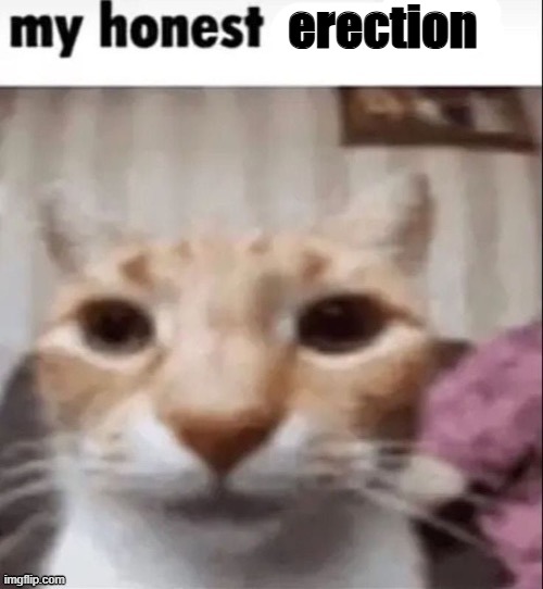 erection | made w/ Imgflip meme maker