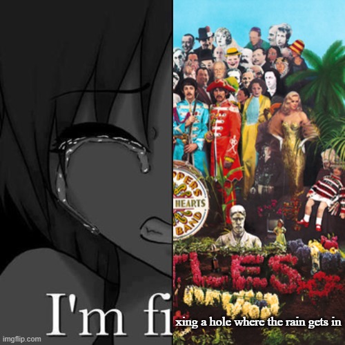 I'm fi | xing a hole where the rain gets in | image tagged in i'm fi | made w/ Imgflip meme maker