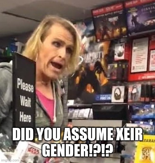 it's ma'am | DID YOU ASSUME XEIR
GENDER!?!? | image tagged in it's ma'am | made w/ Imgflip meme maker