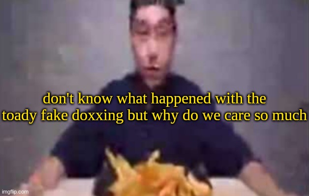 are these fries | don't know what happened with the toady fake doxxing but why do we care so much | image tagged in are these fries | made w/ Imgflip meme maker