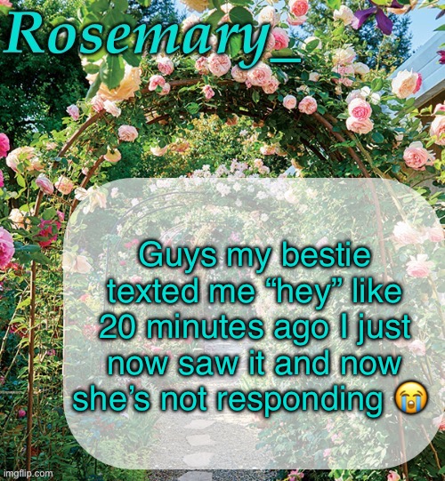 This girl normally texts back like instantly so I’m getting a little worried | Guys my bestie texted me “hey” like 20 minutes ago I just now saw it and now she’s not responding 😭 | image tagged in rosemary_ template | made w/ Imgflip meme maker