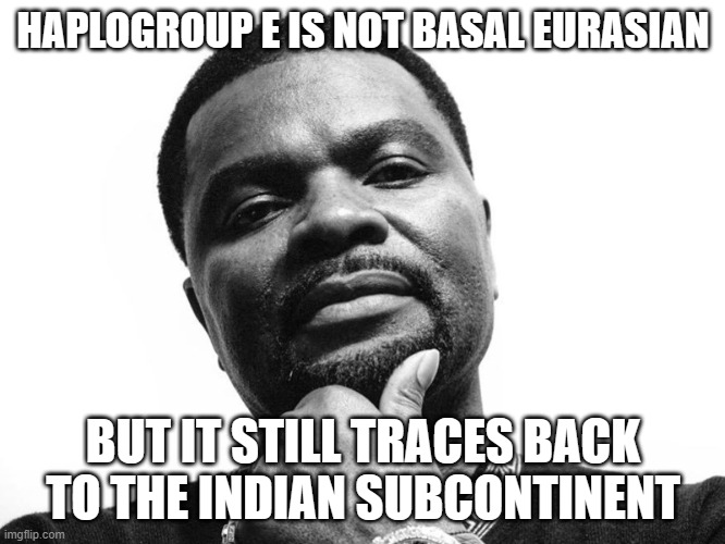HAPLOGROUP E IS NOT BASAL EURASIAN; BUT IT STILL TRACES BACK TO THE INDIAN SUBCONTINENT | HAPLOGROUP E IS NOT BASAL EURASIAN; BUT IT STILL TRACES BACK TO THE INDIAN SUBCONTINENT | image tagged in j prince kim jung un,india,genetics,dna,africa,human race | made w/ Imgflip meme maker