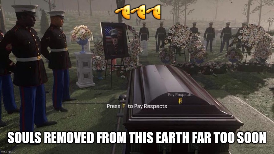 ??? SOULS REMOVED FROM THIS EARTH FAR TOO SOON | image tagged in press f to pay respects | made w/ Imgflip meme maker