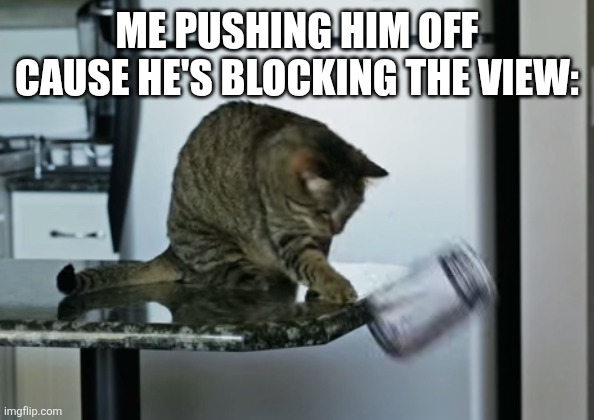 cat pushing thing off counter | ME PUSHING HIM OFF CAUSE HE'S BLOCKING THE VIEW: | image tagged in cat pushing thing off counter | made w/ Imgflip meme maker