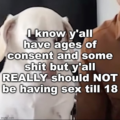 uh | I know y'all have ages of consent and some shit but y'all REALLY should NOT be having sex till 18 | image tagged in uh | made w/ Imgflip meme maker