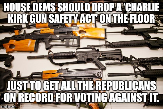 Hopes & Prayers | HOUSE DEMS SHOULD DROP A ‘CHARLIE KIRK GUN SAFETY ACT’ ON THE FLOOR; JUST TO GET ALL THE REPUBLICANS ON RECORD FOR VOTING AGAINST IT. | image tagged in gun control,charlie kirk,republicans,hypocrisy,second amendment | made w/ Imgflip meme maker