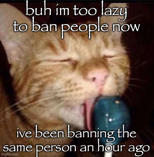silly goober 2 | buh im too lazy to ban people now; ive been banning the same person an hour ago | image tagged in silly goober 2 | made w/ Imgflip meme maker