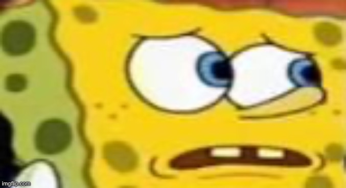 spon bob | image tagged in spon bob | made w/ Imgflip meme maker