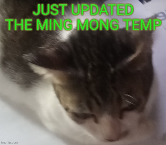 Ming mong | JUST UPDATED THE MING MONG TEMP | image tagged in ming mong | made w/ Imgflip meme maker