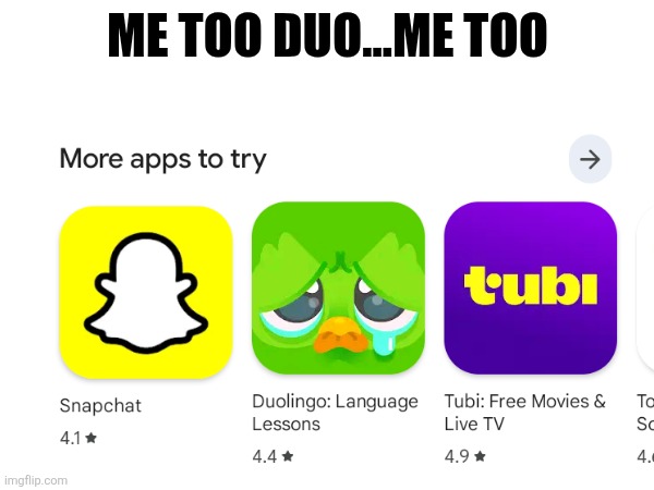 Sad duo | ME TOO DUO...ME TOO | image tagged in duolingo | made w/ Imgflip meme maker