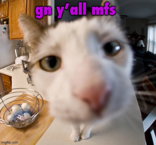 he | gn y’all mfs | image tagged in he | made w/ Imgflip meme maker