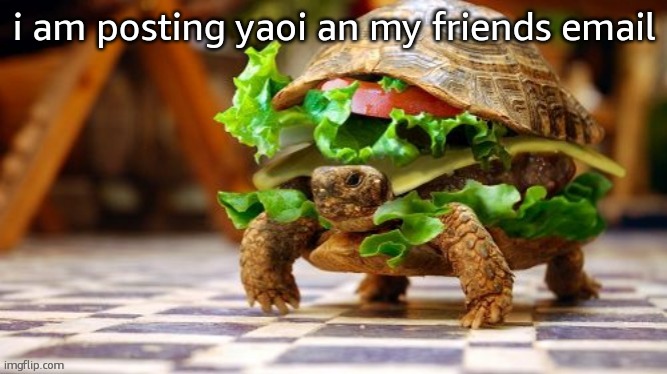 Tortoise Samwich | i am posting yaoi an my friends email | image tagged in tortoise samwich | made w/ Imgflip meme maker