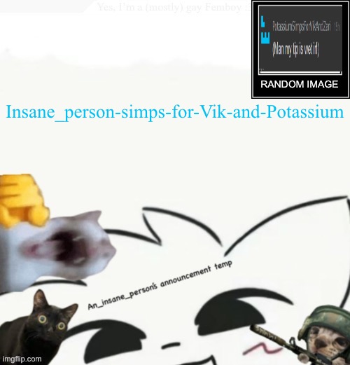 Peak username change idea chat trust | Insane_person-simps-for-Vik-and-Potassium | image tagged in my lil announcement | made w/ Imgflip meme maker