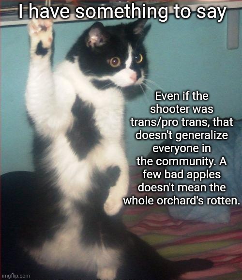 I think blaming the entire community will do more harm than good. | I have something to say; Even if the shooter was trans/pro trans, that doesn't generalize everyone in the community. A few bad apples doesn't mean the whole orchard's rotten. | image tagged in question cat | made w/ Imgflip meme maker