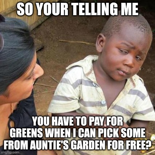 Third World Skeptical Kid Meme | SO YOUR TELLING ME; YOU HAVE TO PAY FOR GREENS WHEN I CAN PICK SOME FROM AUNTIE'S GARDEN FOR FREE? | image tagged in memes,third world skeptical kid | made w/ Imgflip meme maker
