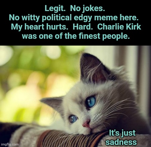 First World Problems Cat | Legit.  No jokes.  No witty political edgy meme here.  

My heart hurts.  Hard.  Charlie Kirk was one of the finest people. It's just sadness | image tagged in memes,first world problems cat | made w/ Imgflip meme maker