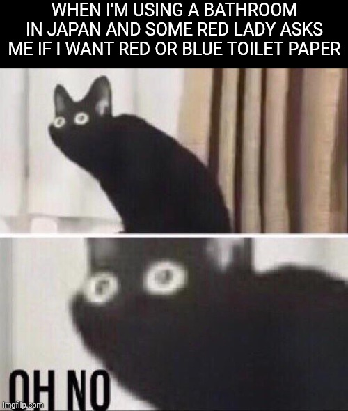 If you don't get it search up aka manto | WHEN I'M USING A BATHROOM IN JAPAN AND SOME RED LADY ASKS ME IF I WANT RED OR BLUE TOILET PAPER | image tagged in oh no cat,urban legend | made w/ Imgflip meme maker