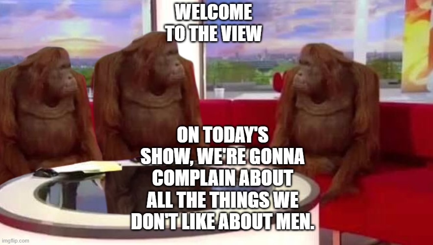 where monkey | WELCOME TO THE VIEW; ON TODAY'S SHOW, WE'RE GONNA COMPLAIN ABOUT ALL THE THINGS WE DON'T LIKE ABOUT MEN. | image tagged in where monkey | made w/ Imgflip meme maker