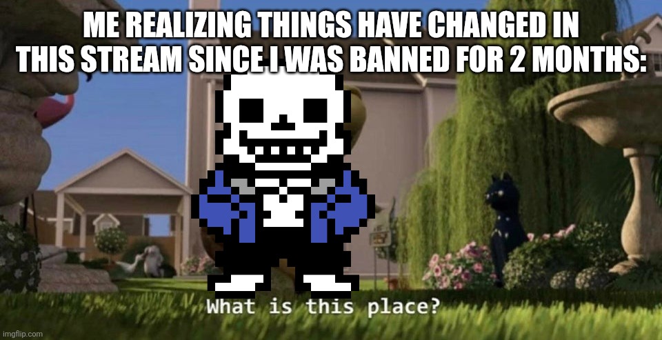 WHAT KIND OF PLACE IS THIS?! | ME REALIZING THINGS HAVE CHANGED IN THIS STREAM SINCE I WAS BANNED FOR 2 MONTHS: | image tagged in what is this place | made w/ Imgflip meme maker