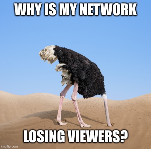 Ostrich | WHY IS MY NETWORK LOSING VIEWERS? | image tagged in ostrich | made w/ Imgflip meme maker