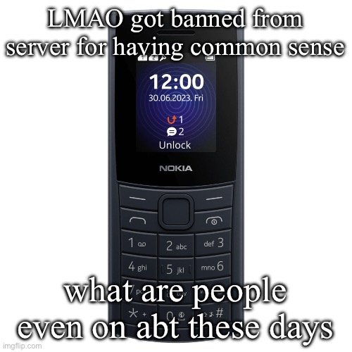 nokia 110 4g | LMAO got banned from server for having common sense; what are people even on abt these days | image tagged in nokia 110 4g | made w/ Imgflip meme maker