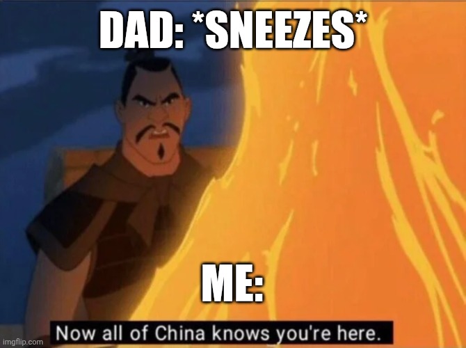 Now all of China knows you're here | DAD: *SNEEZES*; ME: | image tagged in now all of china knows you're here | made w/ Imgflip meme maker