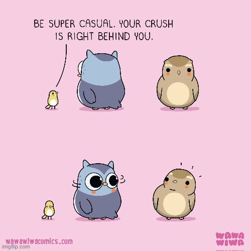 image tagged in bird,birds,owl,crush,neck,turn | made w/ Imgflip meme maker
