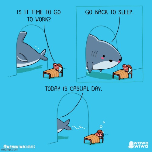 image tagged in fish,bed,sleeping,shark,work,casual day | made w/ Imgflip meme maker