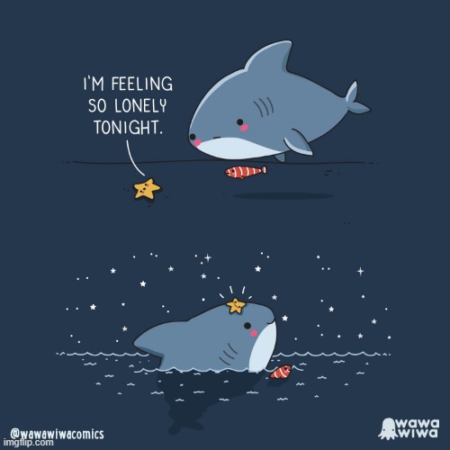 image tagged in shark,fish,starfish,lonely,stars,stargazing | made w/ Imgflip meme maker