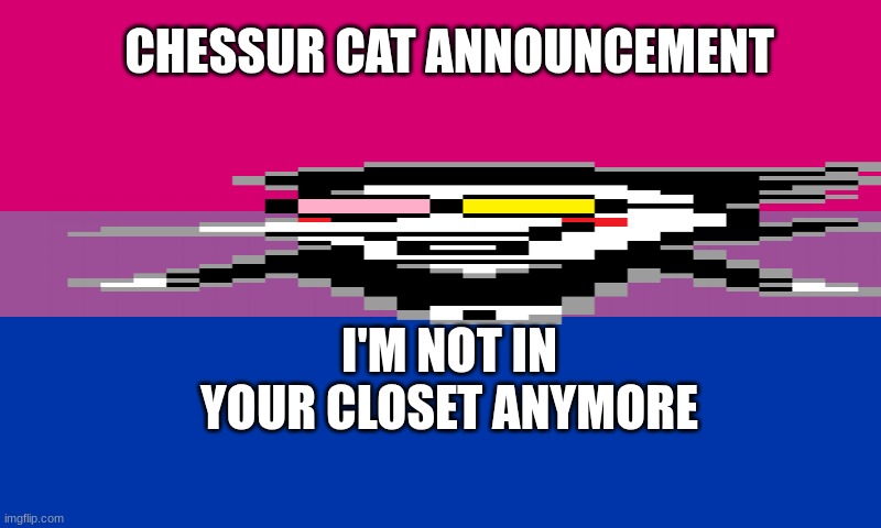 I'm bisexual | CHESSUR CAT ANNOUNCEMENT; I'M NOT IN YOUR CLOSET ANYMORE | image tagged in bi flag | made w/ Imgflip meme maker