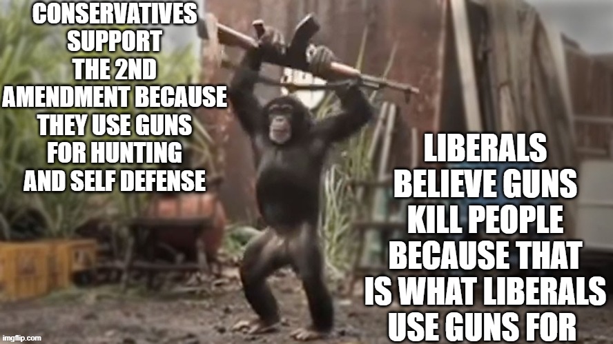 GUNS | CONSERVATIVES SUPPORT THE 2ND AMENDMENT BECAUSE THEY USE GUNS FOR HUNTING AND SELF DEFENSE; LIBERALS BELIEVE GUNS KILL PEOPLE BECAUSE THAT IS WHAT LIBERALS USE GUNS FOR | image tagged in monkey with ak-47 | made w/ Imgflip meme maker