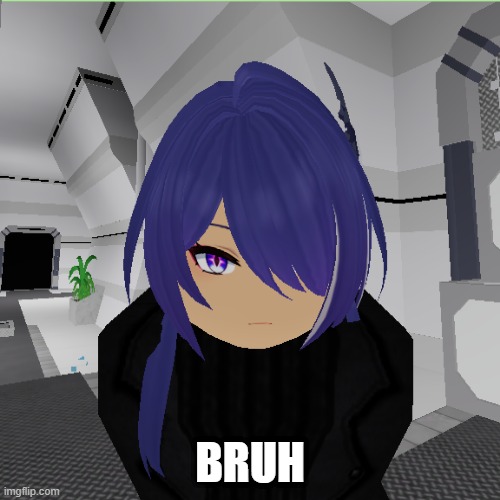 BRUH | image tagged in zombie stories,roblox,roblox meme,honkai star rail | made w/ Imgflip meme maker
