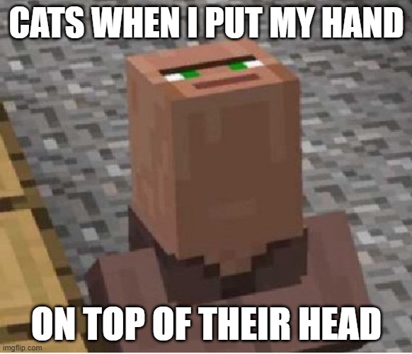 villager | CATS WHEN I PUT MY HAND; ON TOP OF THEIR HEAD | image tagged in minecraft villager looking up | made w/ Imgflip meme maker