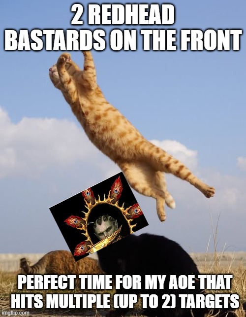 cats l2 | 2 REDHEAD BASTARDS ON THE FRONT; PERFECT TIME FOR MY AOE THAT HITS MULTIPLE (UP TO 2) TARGETS | image tagged in memes | made w/ Imgflip meme maker