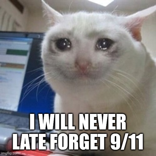 Remembering Late 9/11 | I WILL NEVER LATE FORGET 9/11 | image tagged in crying cat | made w/ Imgflip meme maker