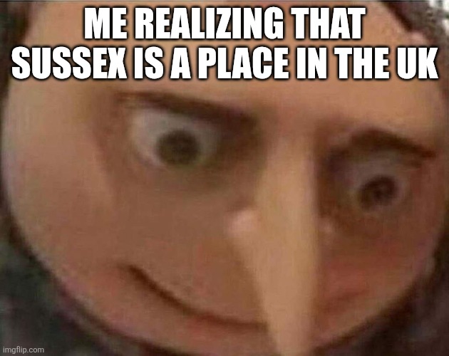 How. | ME REALIZING THAT SUSSEX IS A PLACE IN THE UK | image tagged in gru meme | made w/ Imgflip meme maker