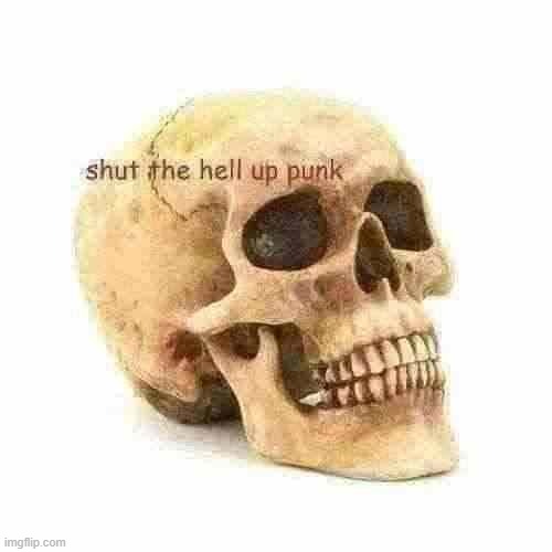 shut the hell up punk | image tagged in shut the hell up punk | made w/ Imgflip meme maker