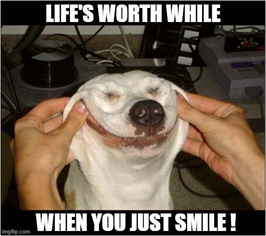 Smile ! | LIFE'S WORTH WHILE; WHEN YOU JUST SMILE ! | image tagged in dogs,smile | made w/ Imgflip meme maker