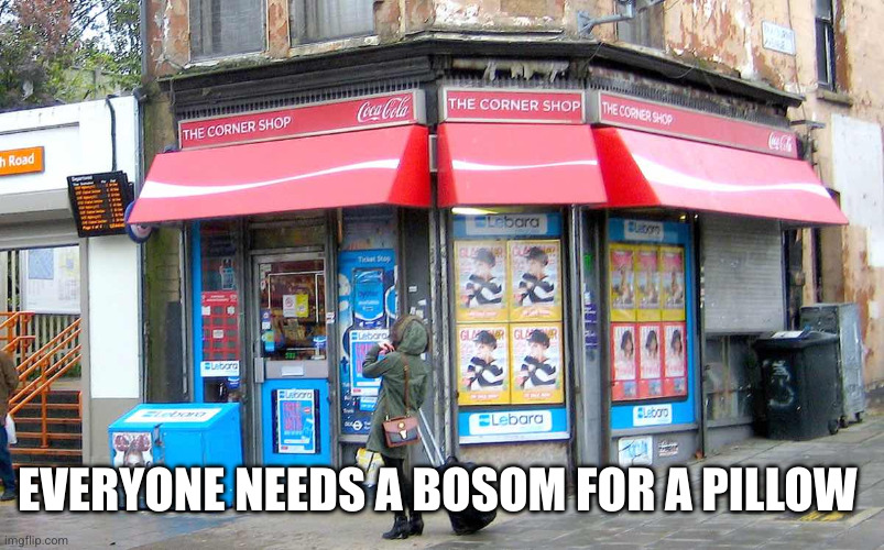 Corner Shop UK | EVERYONE NEEDS A BOSOM FOR A PILLOW | image tagged in corner shop uk | made w/ Imgflip meme maker