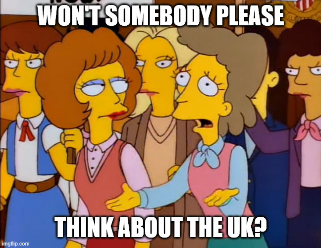 Brits right now | WON'T SOMEBODY PLEASE; THINK ABOUT THE UK? | image tagged in helen lovejoy - won't someone please think of the children | made w/ Imgflip meme maker