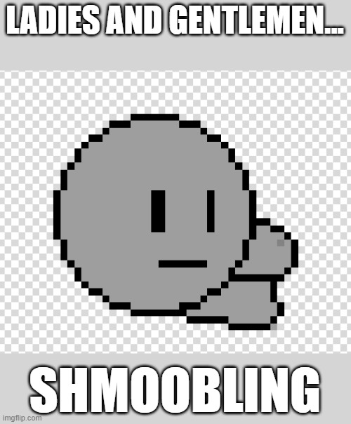 shmoobling | LADIES AND GENTLEMEN... SHMOOBLING | made w/ Imgflip meme maker