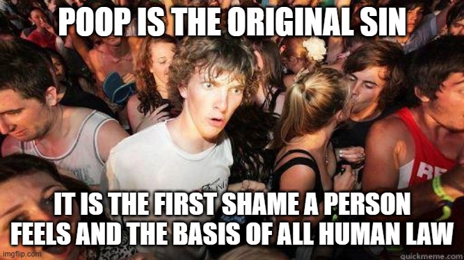 Potty training is important. | POOP IS THE ORIGINAL SIN; IT IS THE FIRST SHAME A PERSON FEELS AND THE BASIS OF ALL HUMAN LAW | image tagged in sudden realization | made w/ Imgflip meme maker